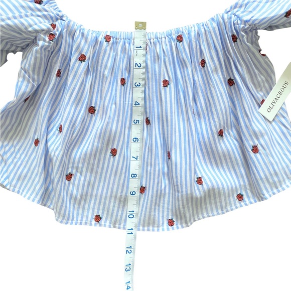 Olivaceous Crop Top BLOUSE Stripes Floral BLUE WHITE M - Picture 9 of 16